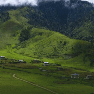 Phobjikha Valley Group Trip